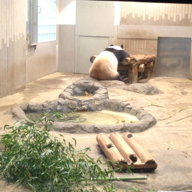 上野動物園