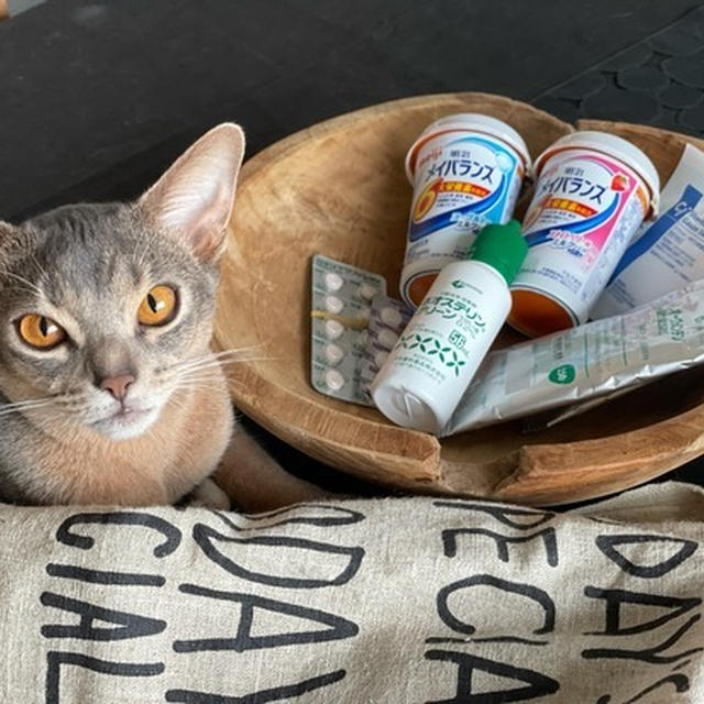 サヨナラ、最後の親知らず…