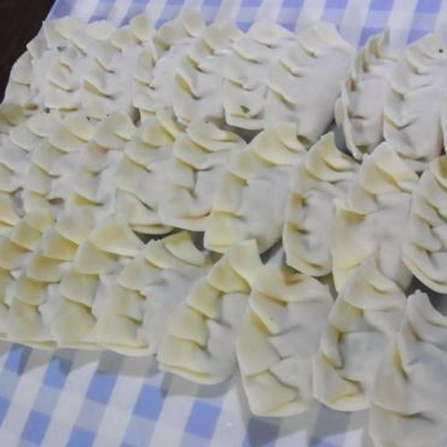 大人５人♪手包み水餃子パーティー♪