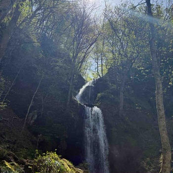 東北旅行③　新緑の奥入瀬（おいらせ）渓流