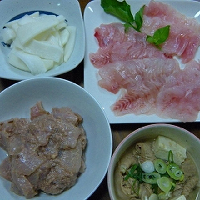 夫の釣果のガッシー、キジハタ、ウマズラハギ☆