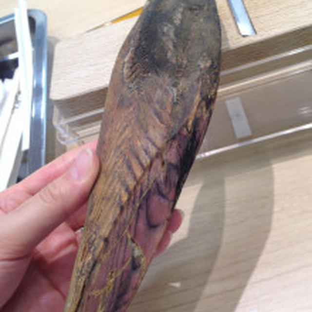 美味しいかつお節だしの取り方セミナー