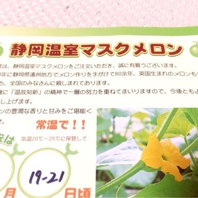 マスクメロン