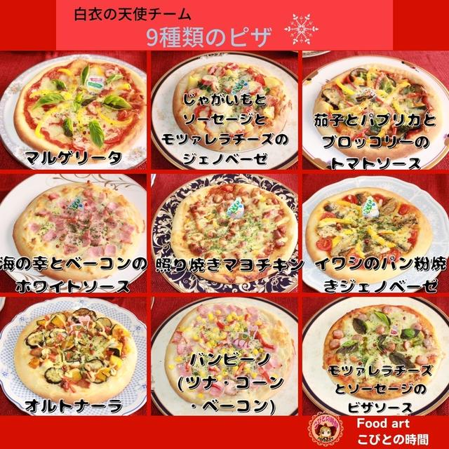 9種類のピザ