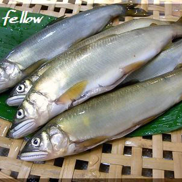 ◆頂き物の天然鮎が今年も登場♪～初物は塩焼きで♪