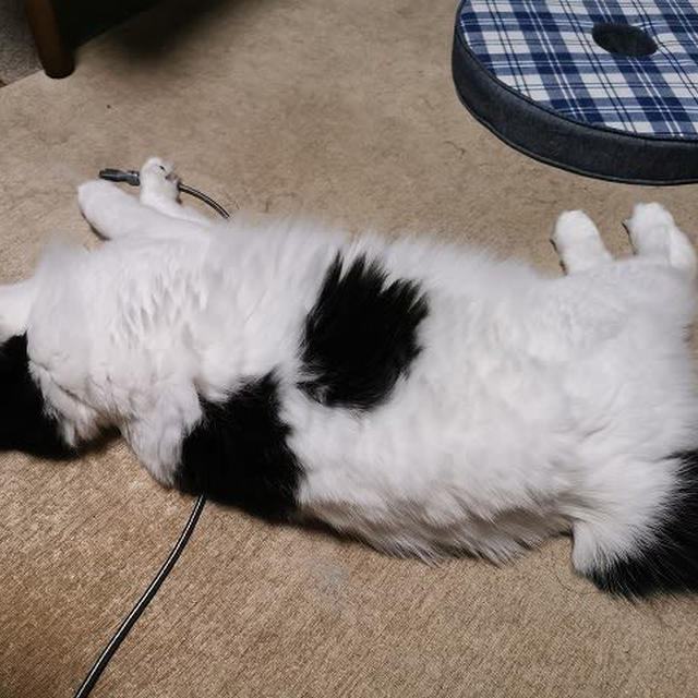 そろそろワクチン接種