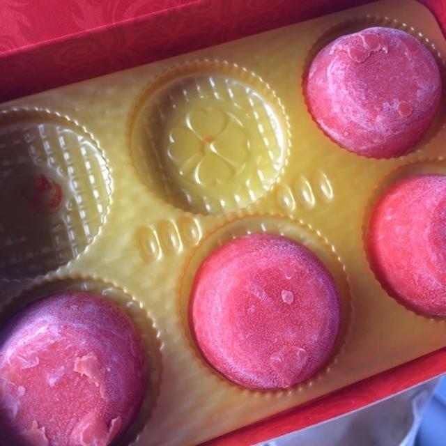 ピノ四つ葉の出現！？