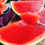 小玉スイカで丸ごとスイカゼリー(動画レシピ)/Watermelon jelly.