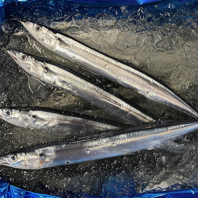 新秋刀魚 〜新さんま〜