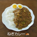 長ねぎカレー