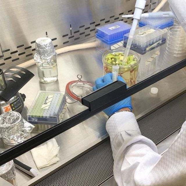 発酵にハマったきっかけは？
