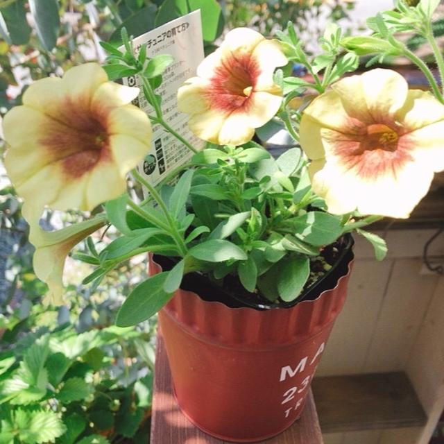 ＧＷだより～♪