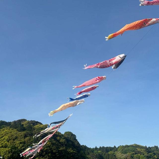 義実家