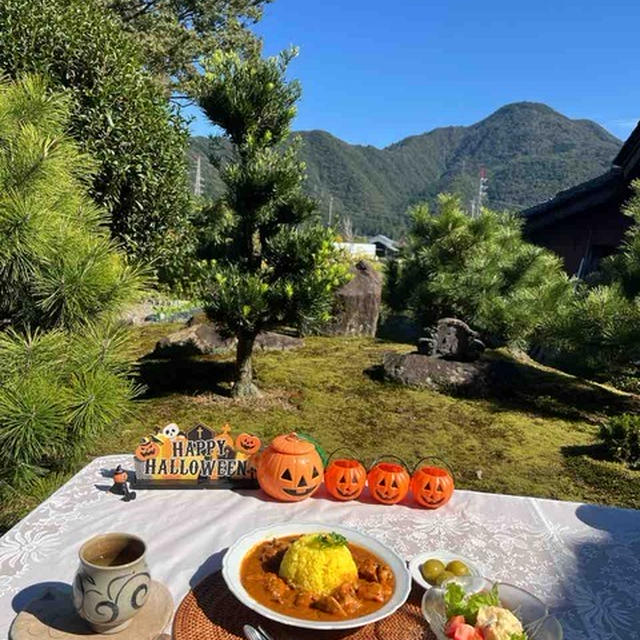 王道のチキンカレー