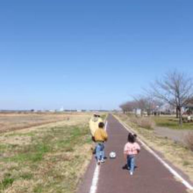 鷹