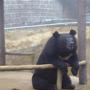 動物園じゃない！