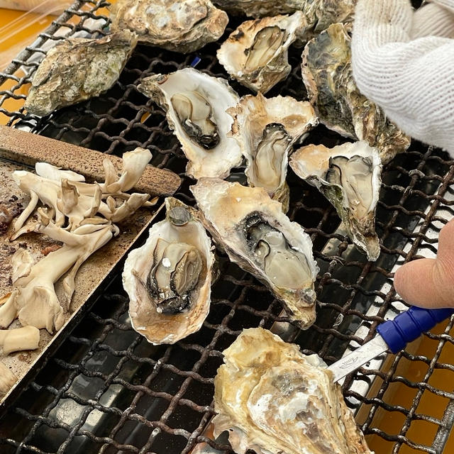 心ウキウキ解禁日「牡蠣小屋で暴飲暴食」