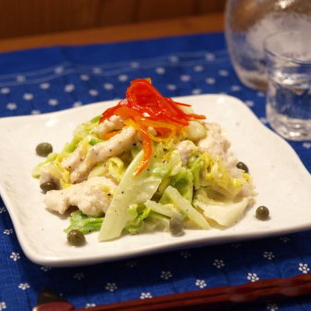 春キャベツと鶏胸肉のサラダ風　　＆　　荒尾市の潮干狩り