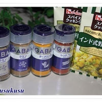 クミンが香る手羽元のお酢煮込みエスニック風