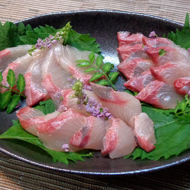 鰤の美味しい若魚 ツバスの捌き方 絶品の刺身を堪能 魚の調理法 By 自宅料理人ひぃろさん レシピブログ 料理ブログのレシピ満載