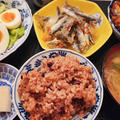 肉も魚も野菜も食べます
