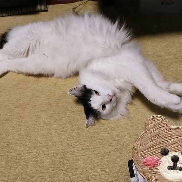 がおーな桃之介