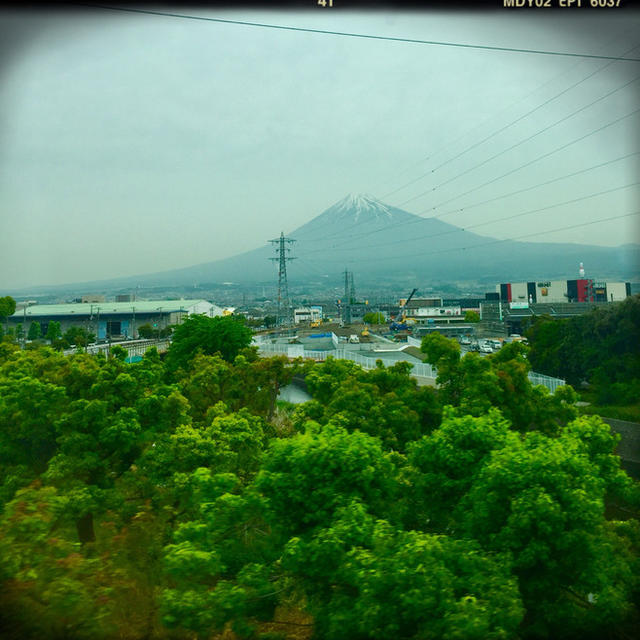 ただのブログ