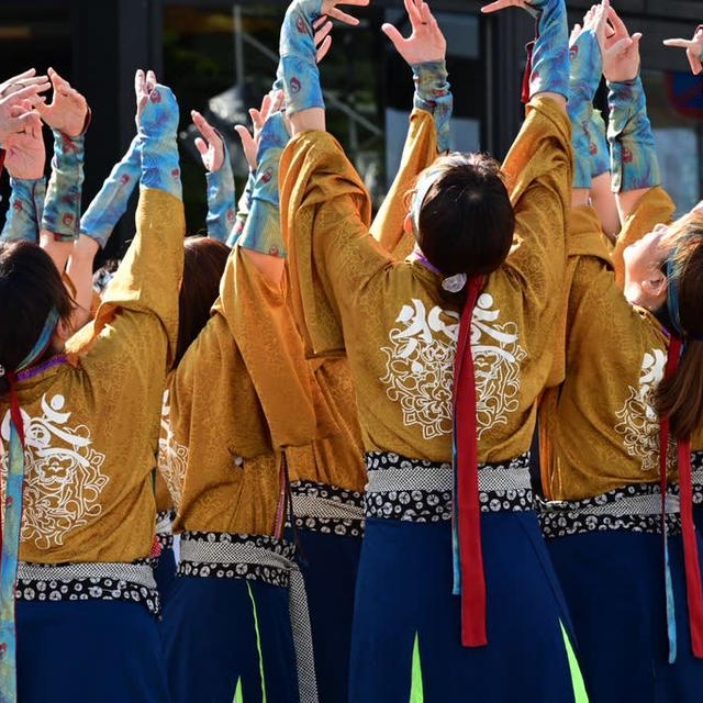新潟総踊り2023