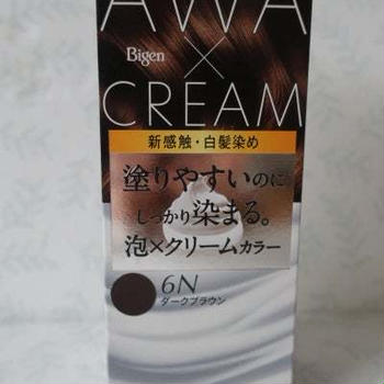 ビゲン 泡クリームカラー