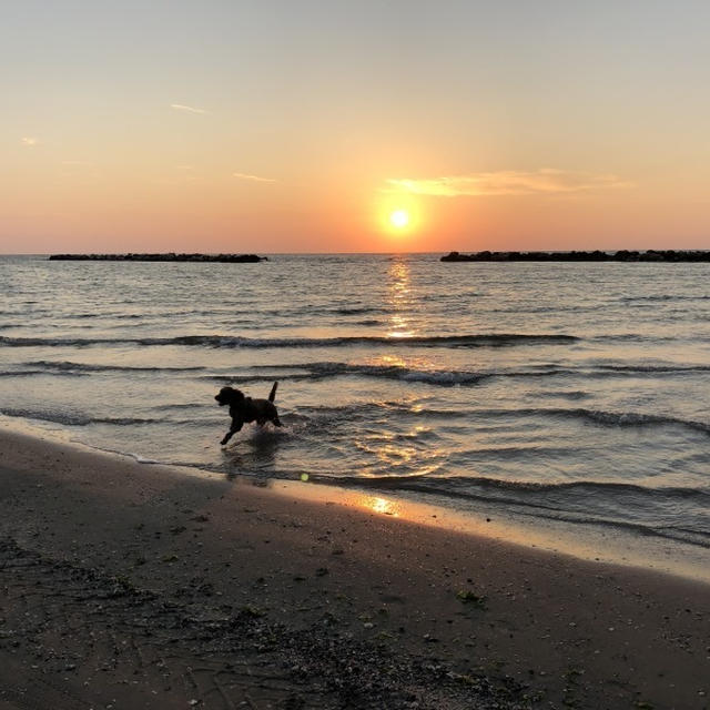 アドリア海の朝日🌅 2018 夏