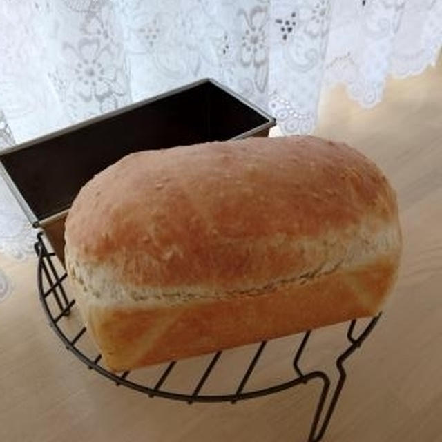 白ごまミニ食パン♪