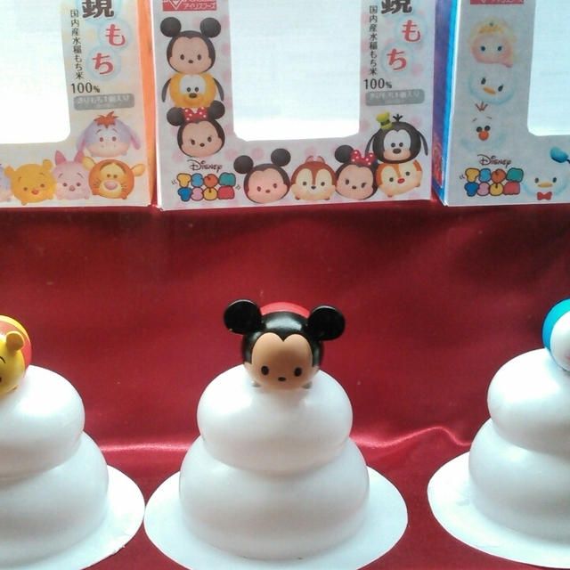 東京ディズニーランドへ☆乱れまくりの電車ですが！