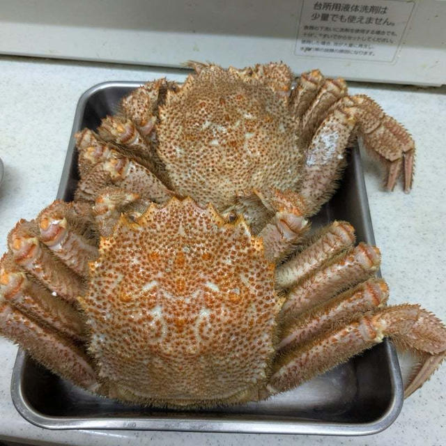 おうちごはん　〜お隣さんから毛ガニ✨〜