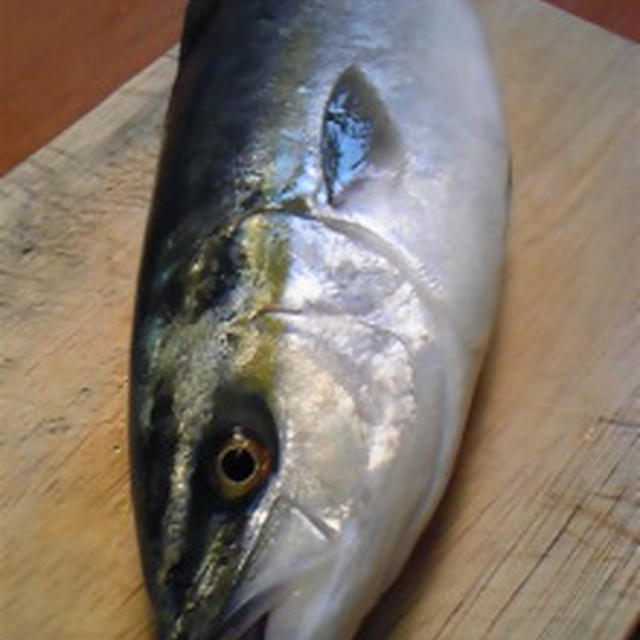 お得なハマチ〜おまけつき