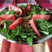 めんつゆと胡麻油を使った水菜とトマトのサラダ