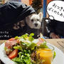 【犬とごはん】RHCカフェ