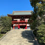 鶴岡八幡宮へ初詣とディモンシュのオムライス