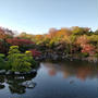 紅葉まつりに行ってきました「初めての日本庭園」
