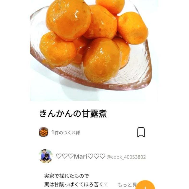 クックパッドきんかんの甘露煮、この前のランチ。