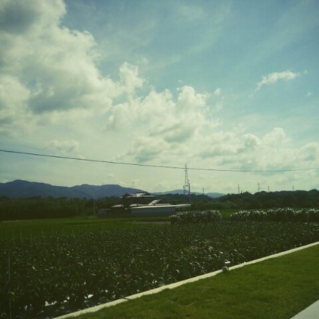 １年に1回の贅沢～♪と…まさか…認めない!!絶対(*｀∧´)