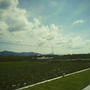 １年に1回の贅沢～♪と…まさか…認めない!!絶対(*｀∧´)
