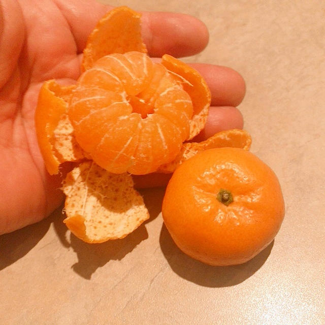 中国向けカナダ産ロブスター