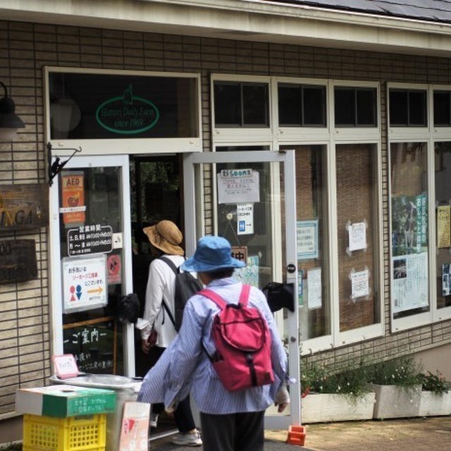 ■服部牧場続【アイス工房CASALINGAでジェラート休憩」➡鳥居原ふれあいの館で昼食編】