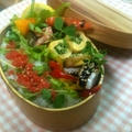 １０/３１　塩麹鮭と明太子ご飯弁当～♪ by ささっちさん