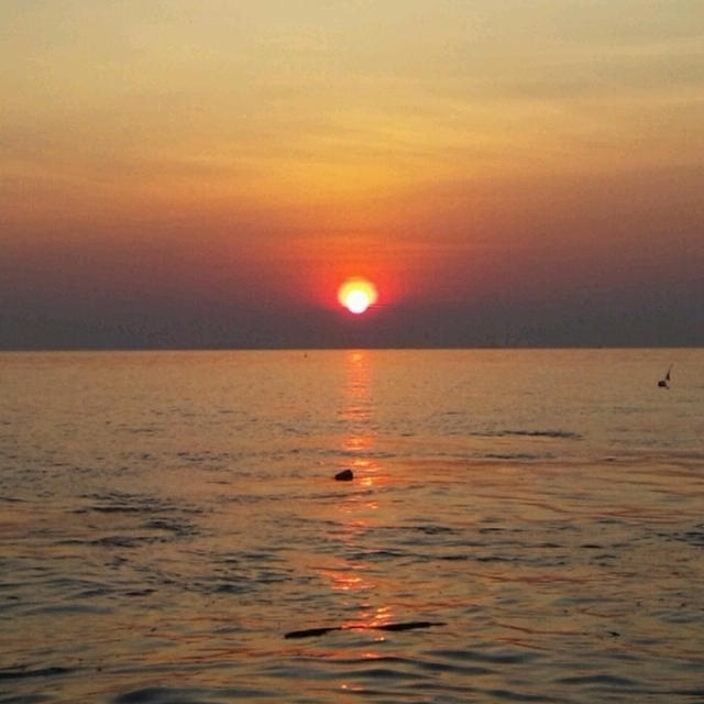 夕日。