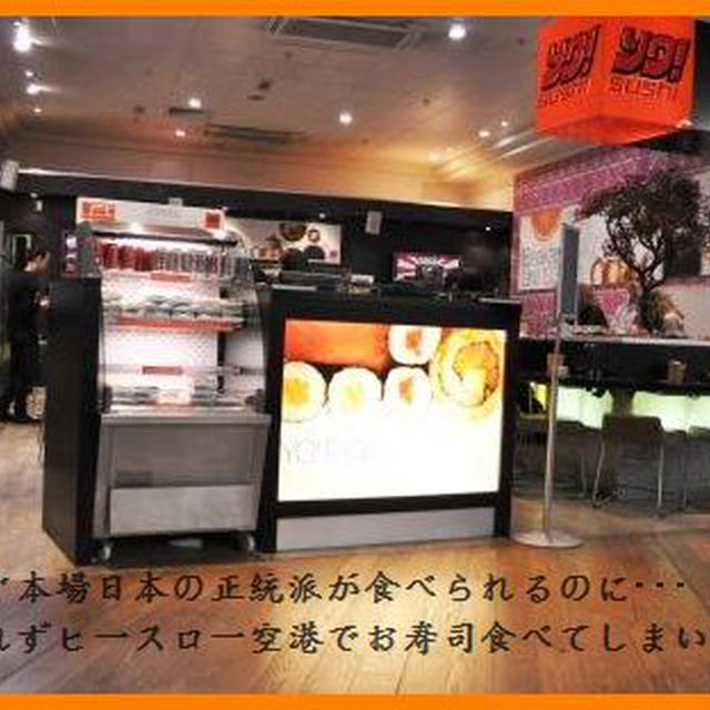 桜と一緒に東京上陸？！2010年一時帰国