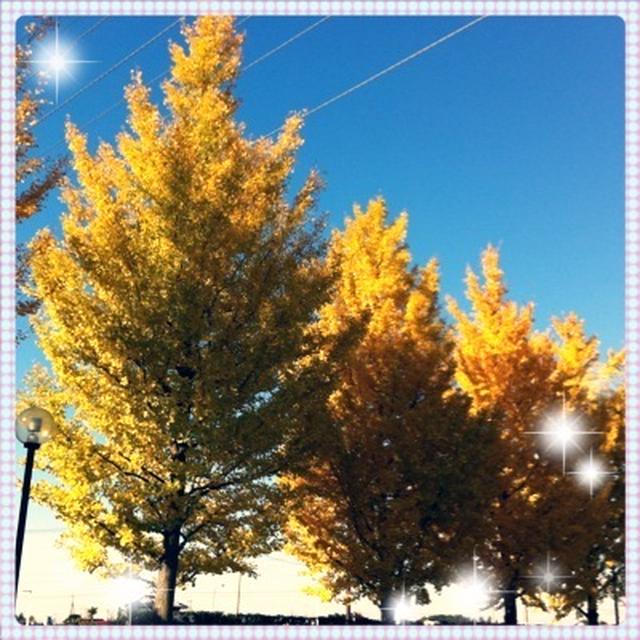 ウォーキング*２連チャン～今日の一枚♪