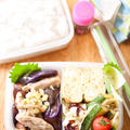 お弁当『蒸し鶏と茄子のねぎ塩麹だれ』