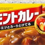 天使なんかじゃない、バーモントカレー、耳掃除、夫に愚痴ったときの話などコメントの色々