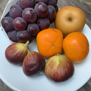 秋の果物のマチェドニアとエスプレッソのパンナコッタ